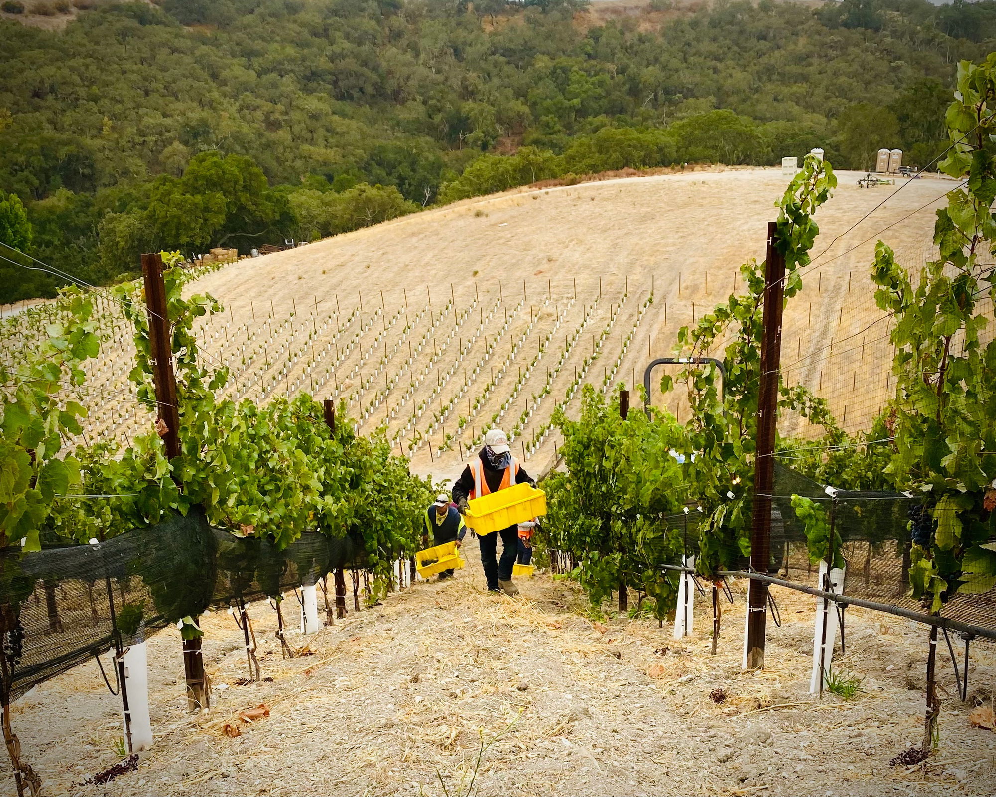 Harvest 2021: Mixed Reflections on a Good Year Amid Climate Change Concerns