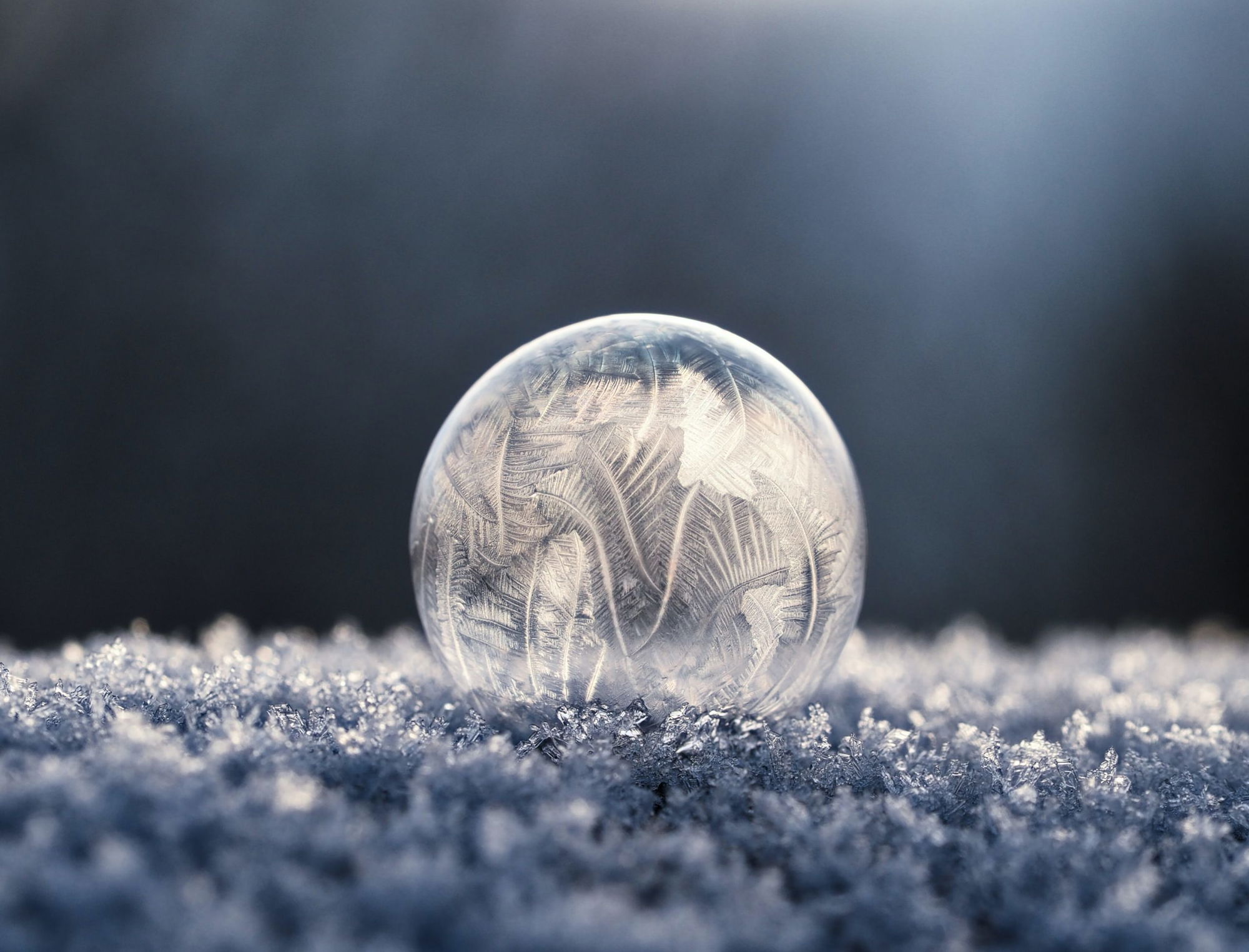 Celebrating the Holidays with Winter Solstice and Yuletide