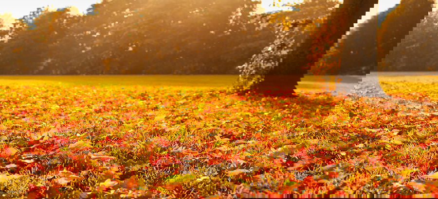 September days are here ... The Voice of the Visitor Center