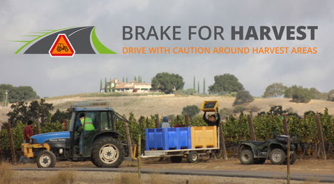 Holloway Agriculture campaign to enhance road safety for harvest workers