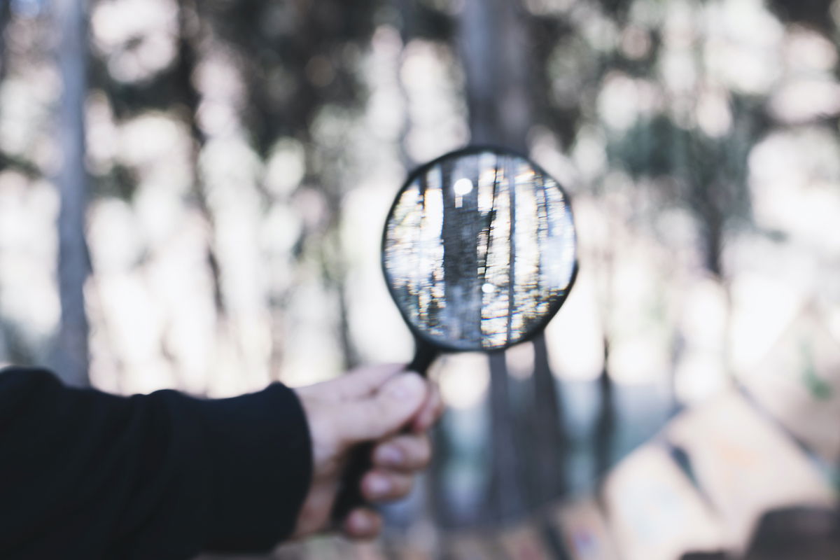 This Friday, Crime Scene Investigation Camp to take place at Centennial Park