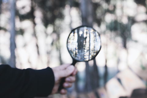This Friday, Crime Scene Investigation Camp to take place at Centennial Park