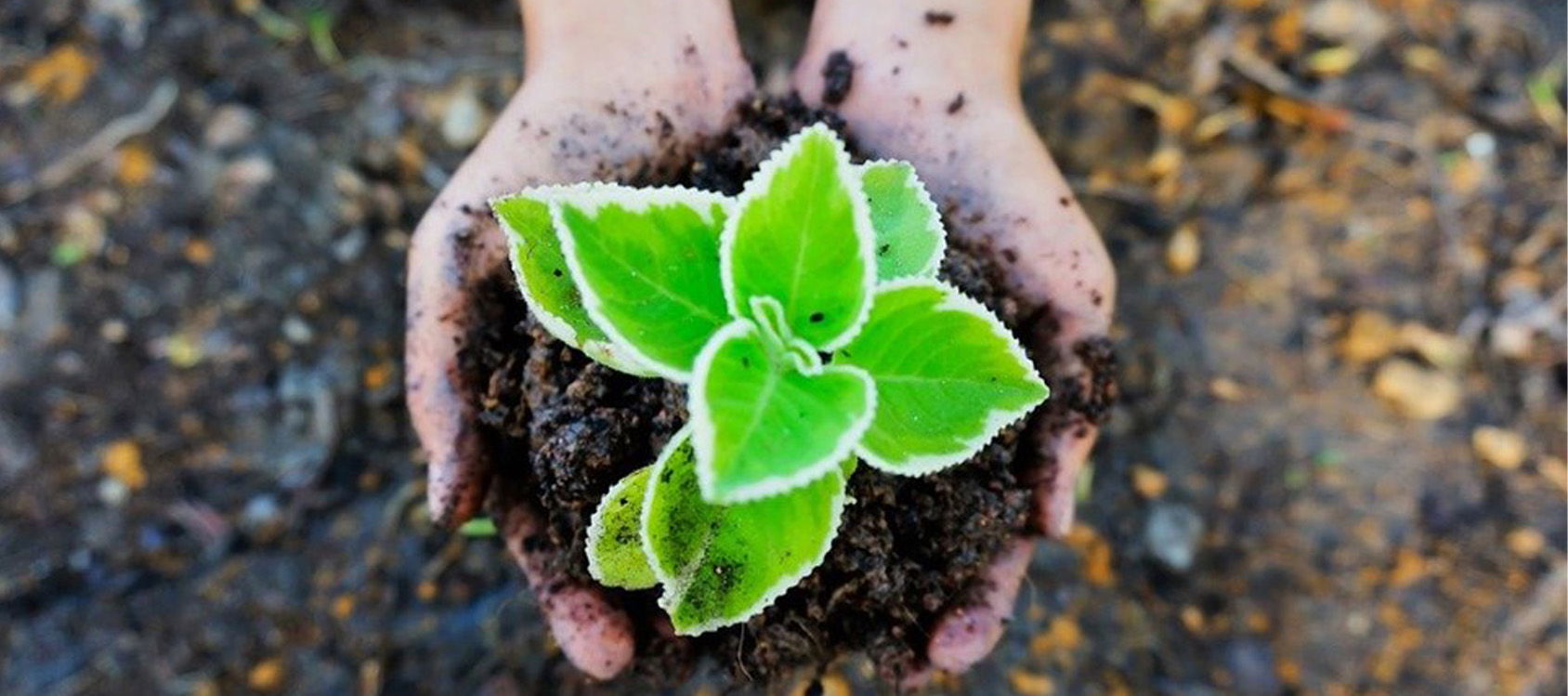 For Earth Day, while Some Look to Hug a Tree, Let’s Not Forget to Kiss the Ground