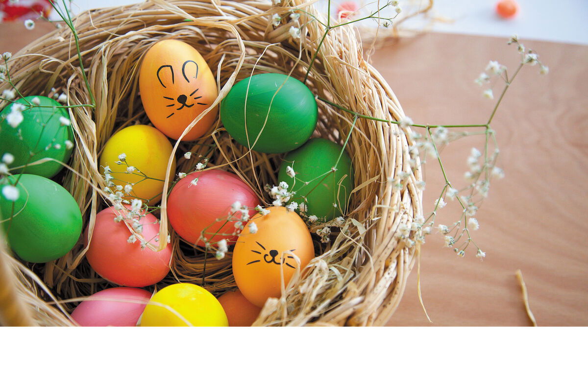Spring Celebrations: Easter Fun and How to Enjoy the Blooming Wildflower