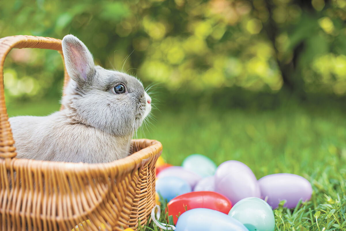 Easter Bunny Coming to Downtown this Saturday