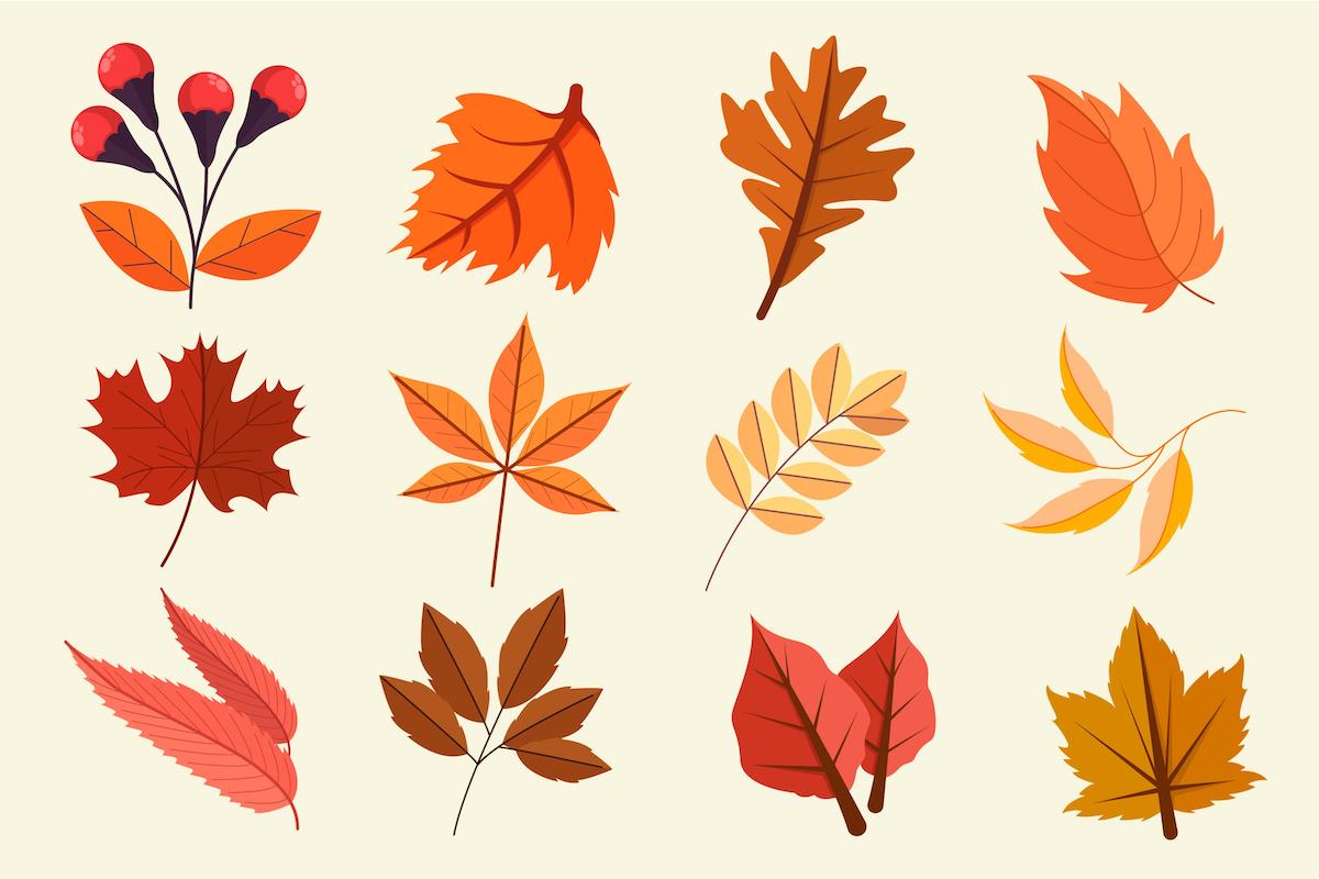 Time for a Fall Refresh