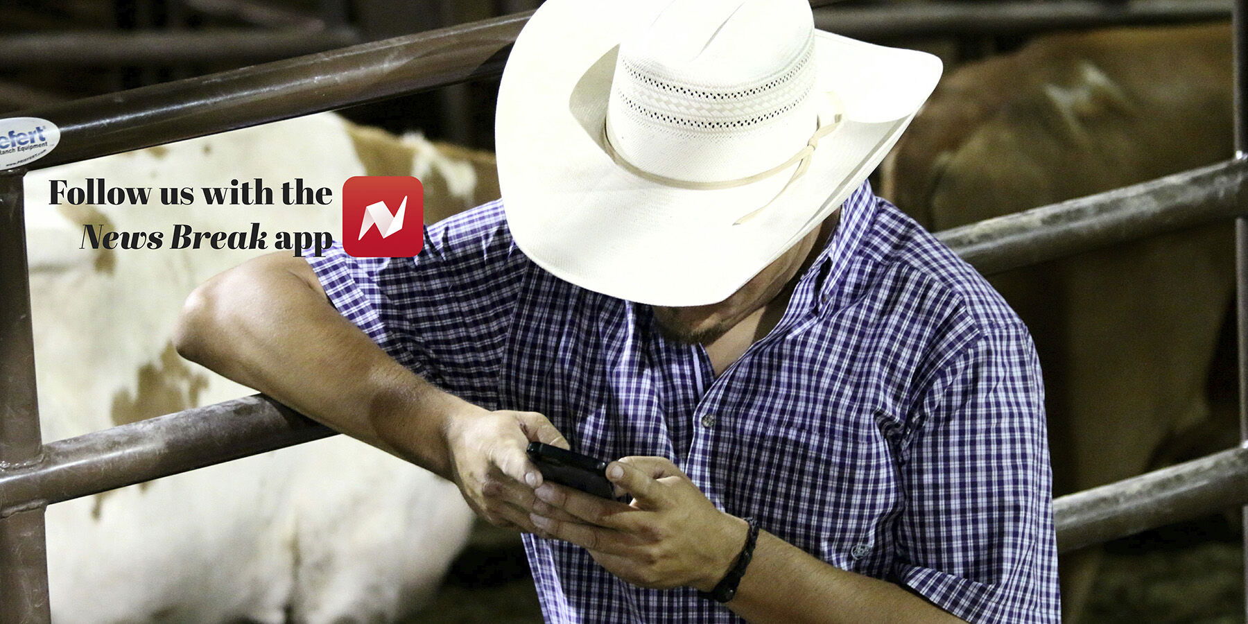 Follow Paso Robles Press on News Break
