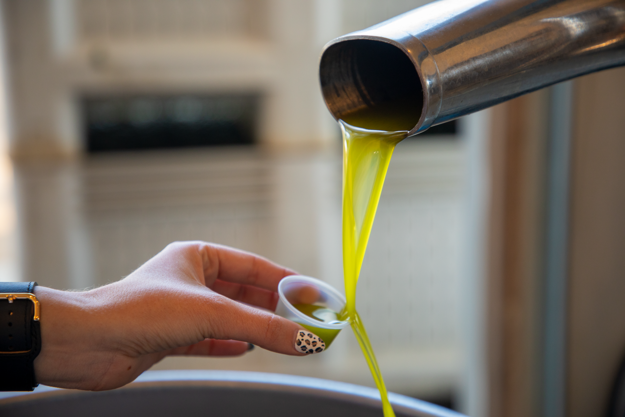 Pasolivo Sees a Successful 2021 Olive Harvest