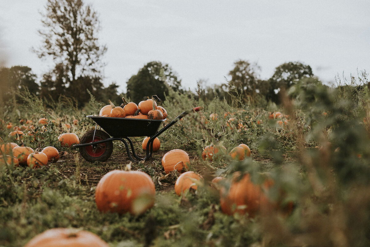 North County October Calendar of Events