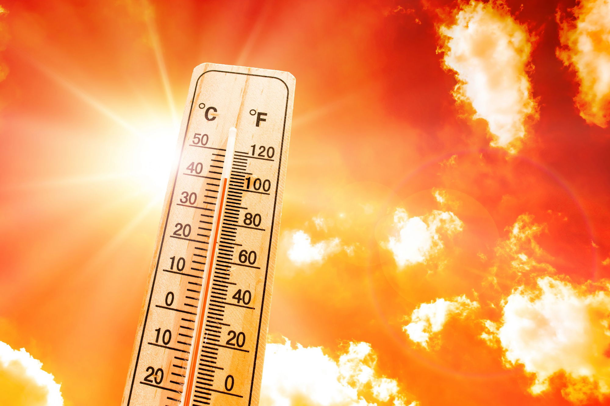 Excessive Heat Warning in Effect Starting Friday, July 9