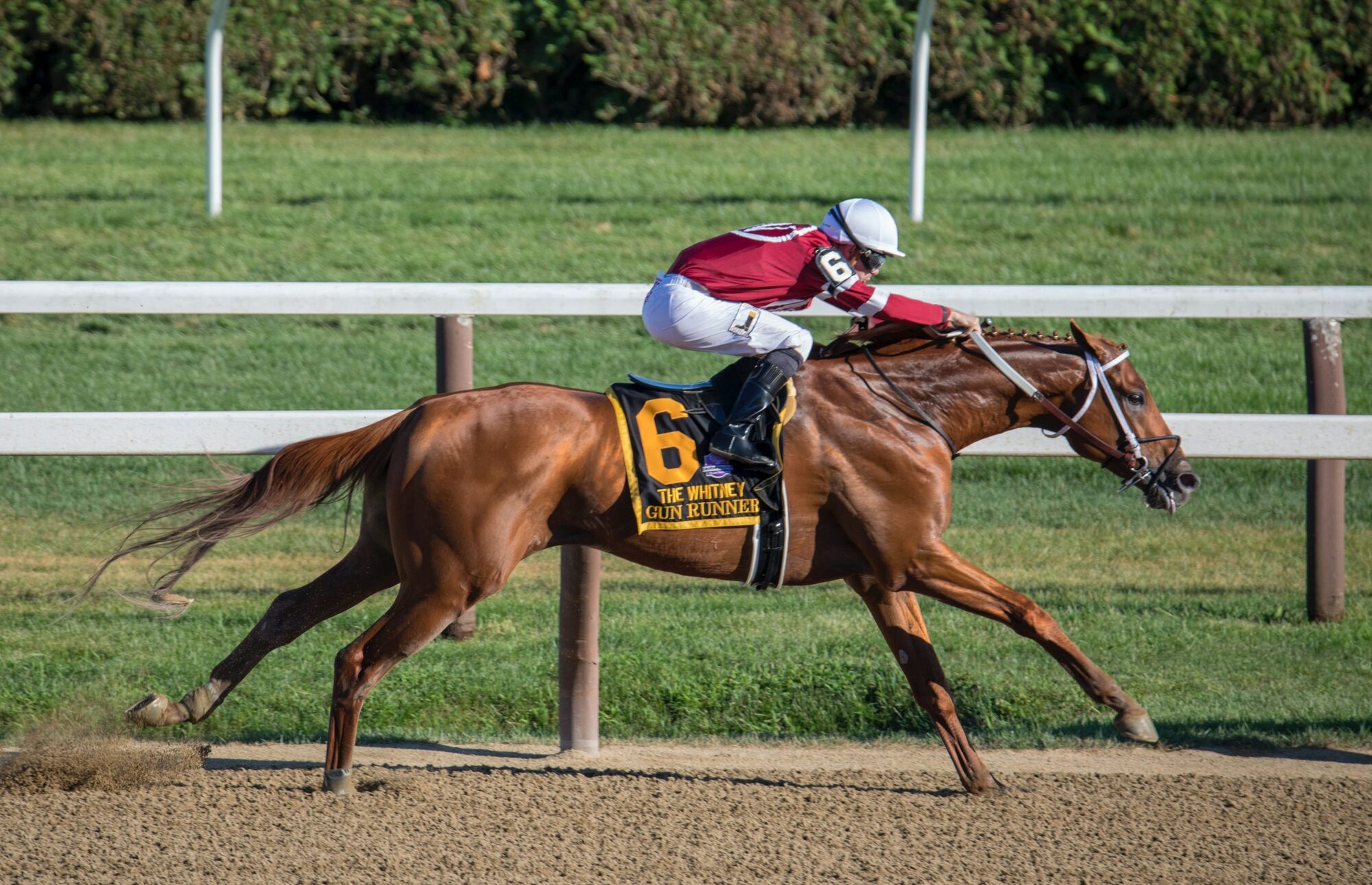 The Optimist Club Hosts Paso Day at the Races