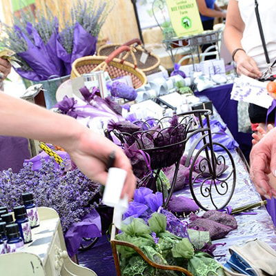 Every Thing’s Coming up Lavender!