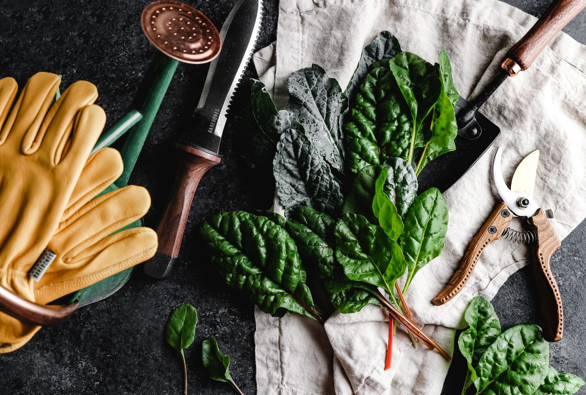 Fall In Love With Cool-Weather Gardening For A Healthy, Hefty Homegrown Harvest