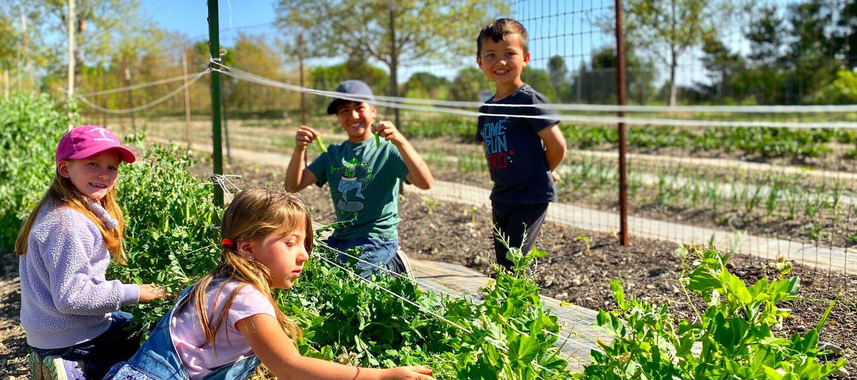 Templeton Hills Community Farm Celebrates First Anniversary