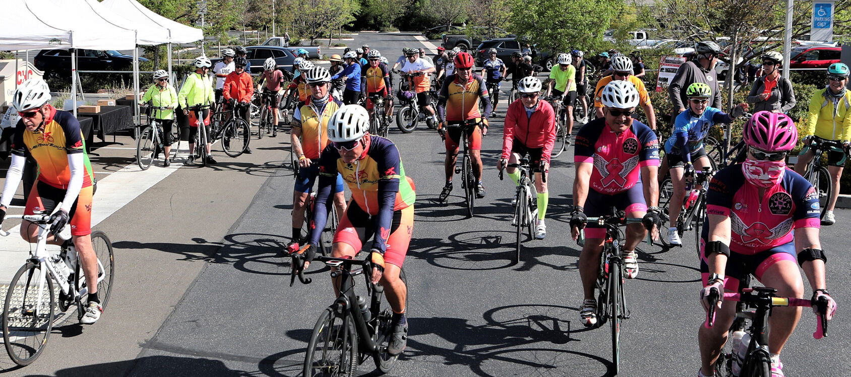 13th Annual Tour of Paso Huge Success