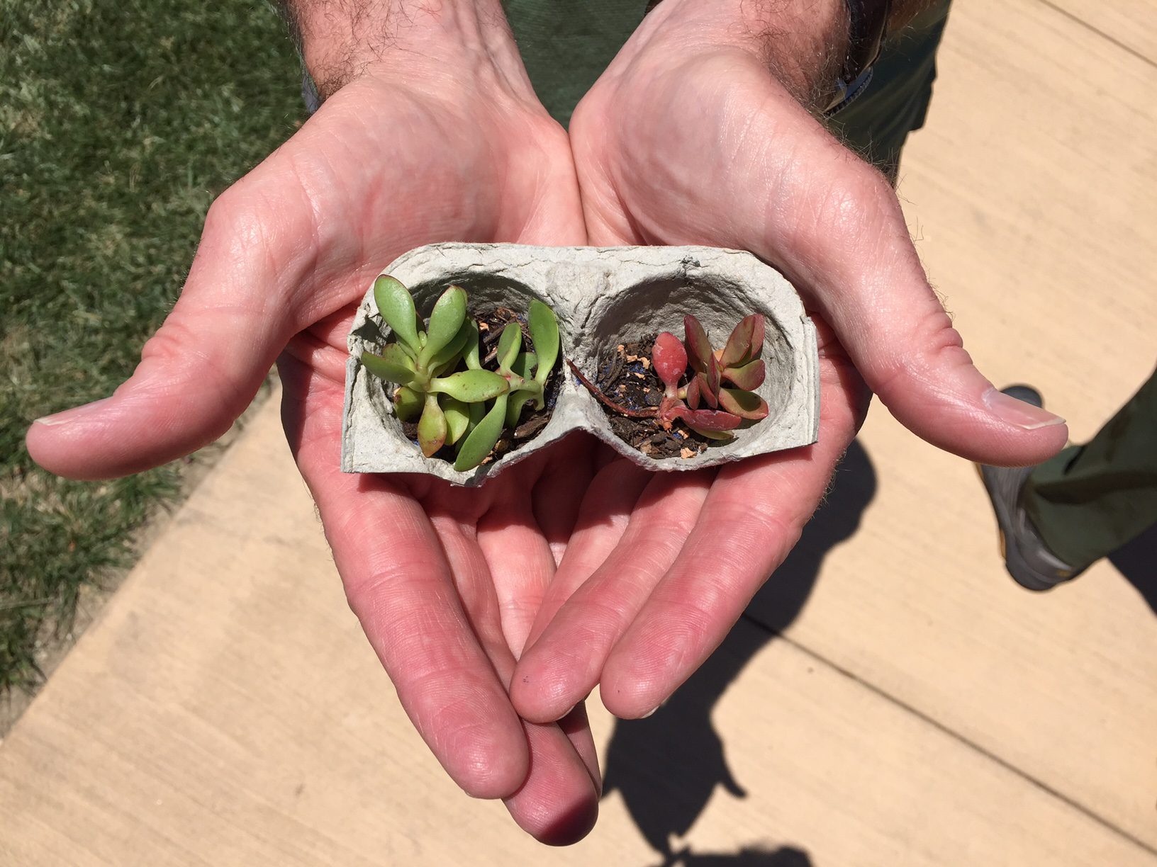 Santa Ynez Valley Botanical Garden’s 14th Annual Earth Day