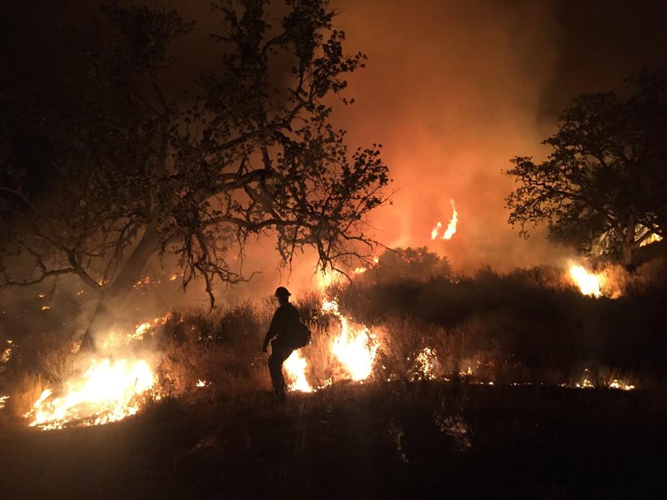Rey Fire increases to more than 29,000 acres