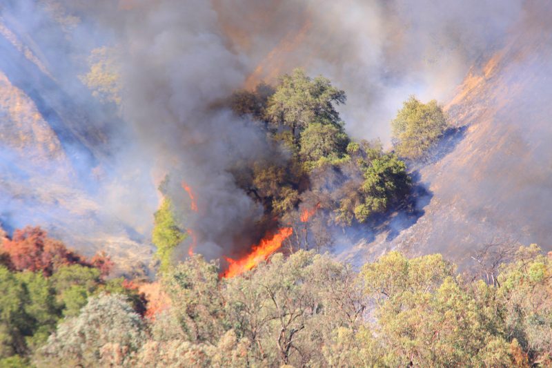 1,000 acres burned in Rey Fire