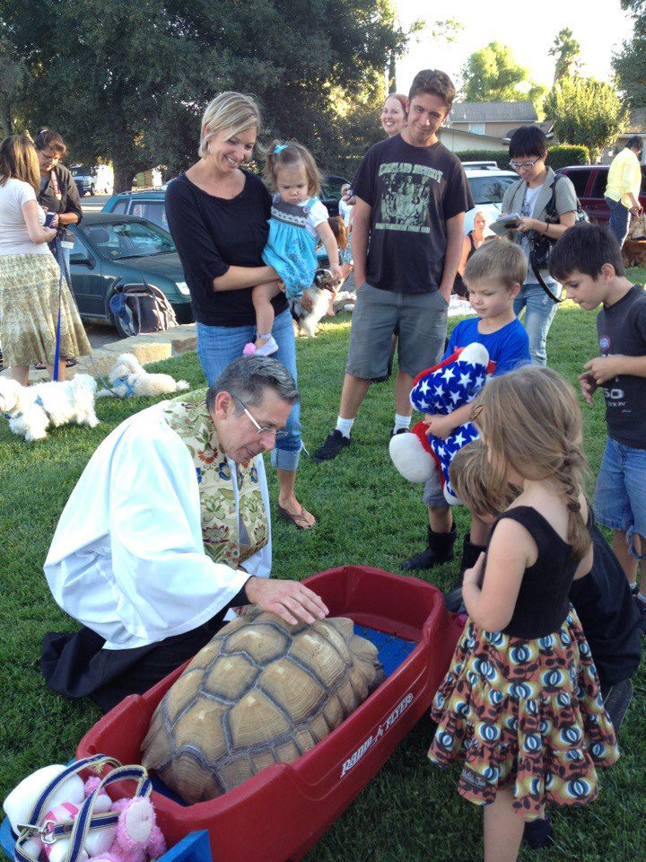 St. Mark’s Church Hosts Free Blessing of the Animals Festival on Sunday, October 2
