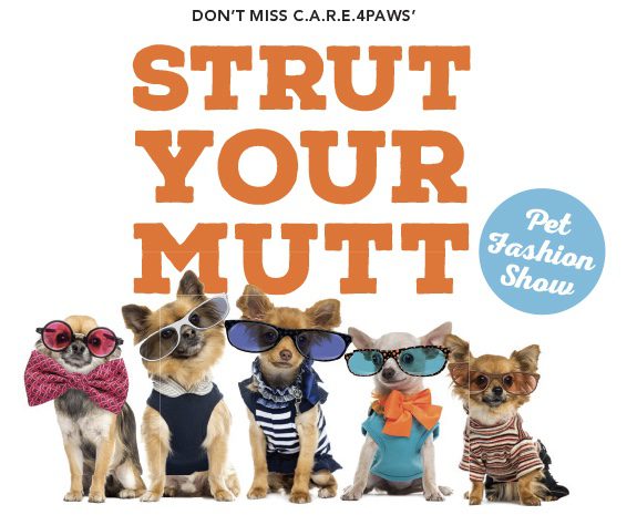 Wags n' Whiskers festival at SBCC offers fun for the whole family