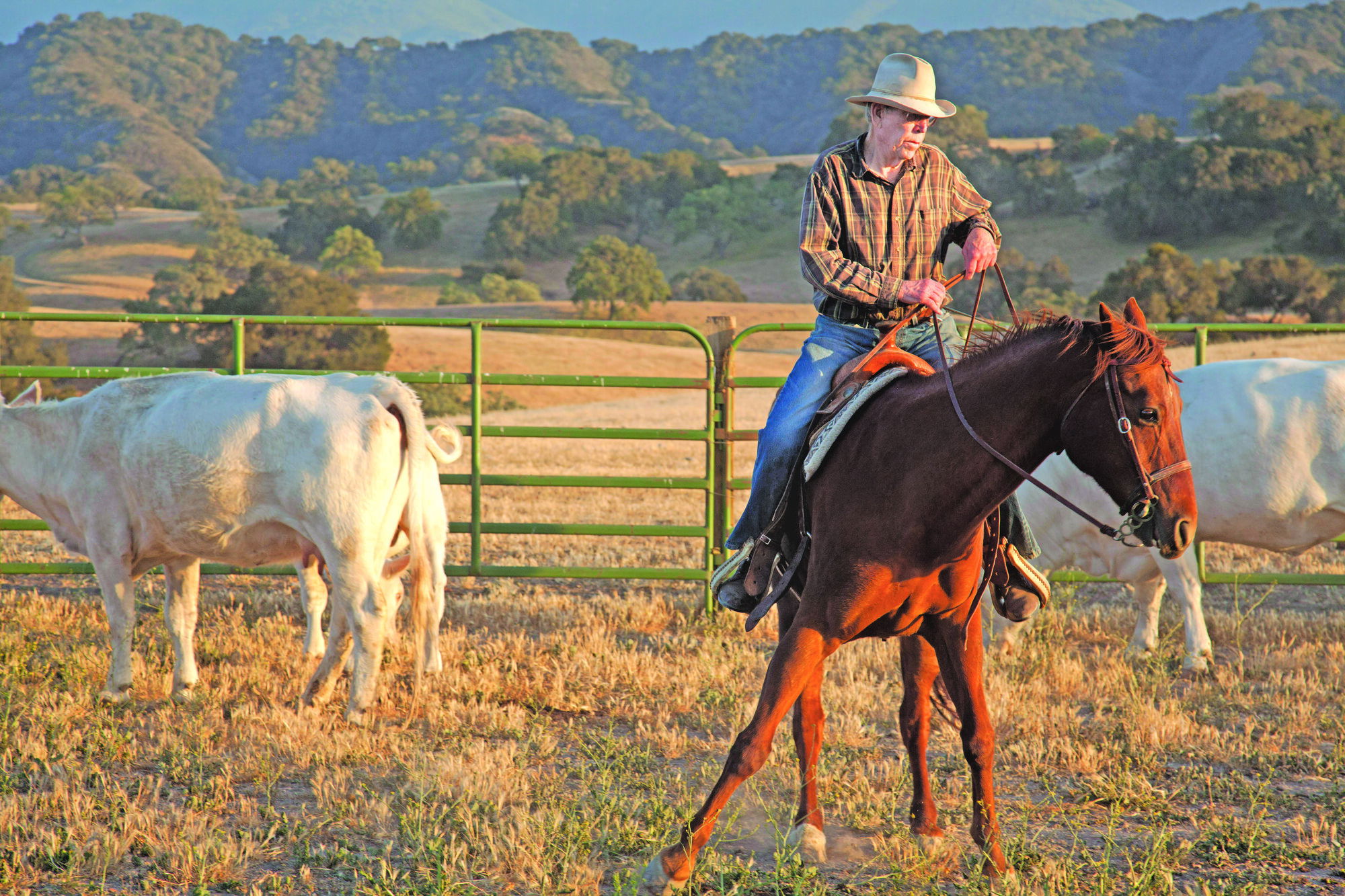 SYV Horseman, Rancher, Newspaper Editor and Magazine Publisher Dies at 79