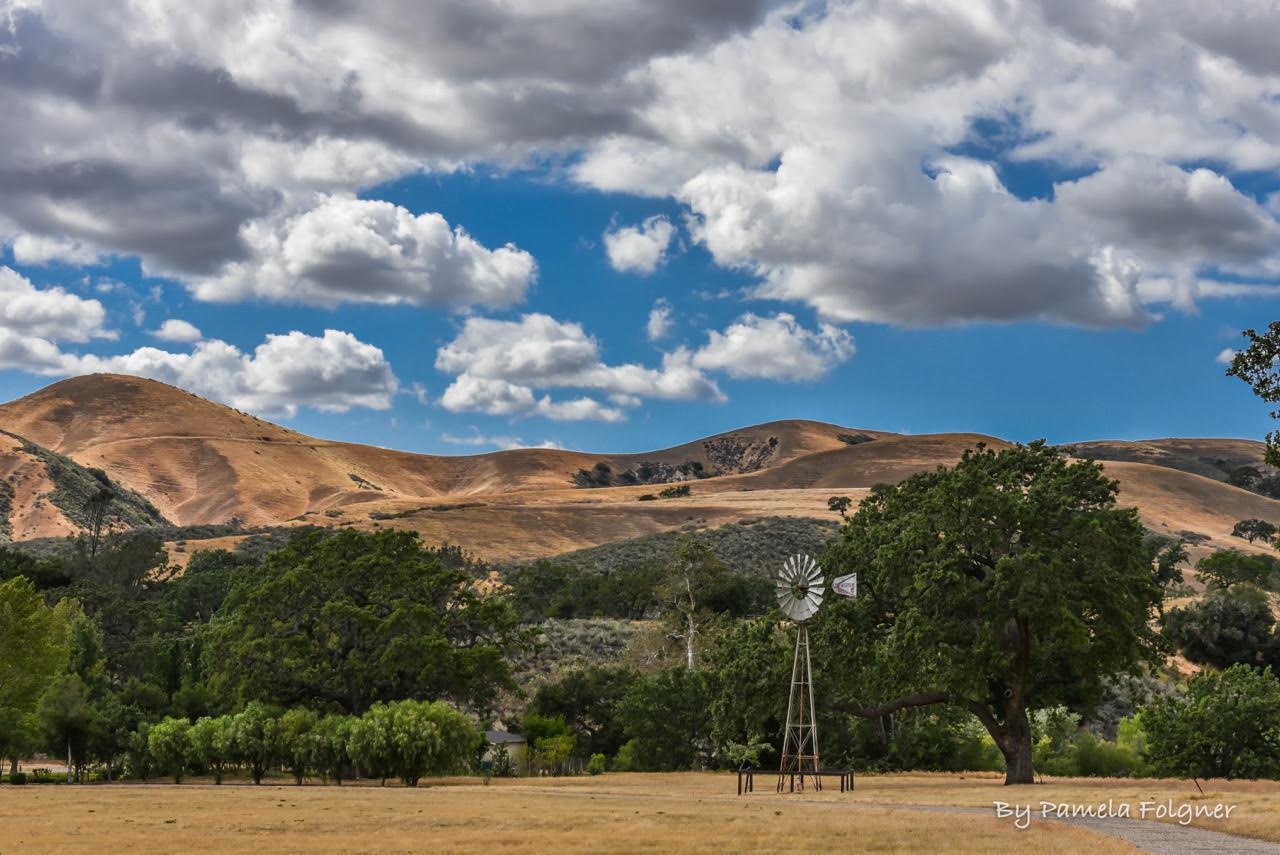 Foxen Canyon scene wins first photo contest