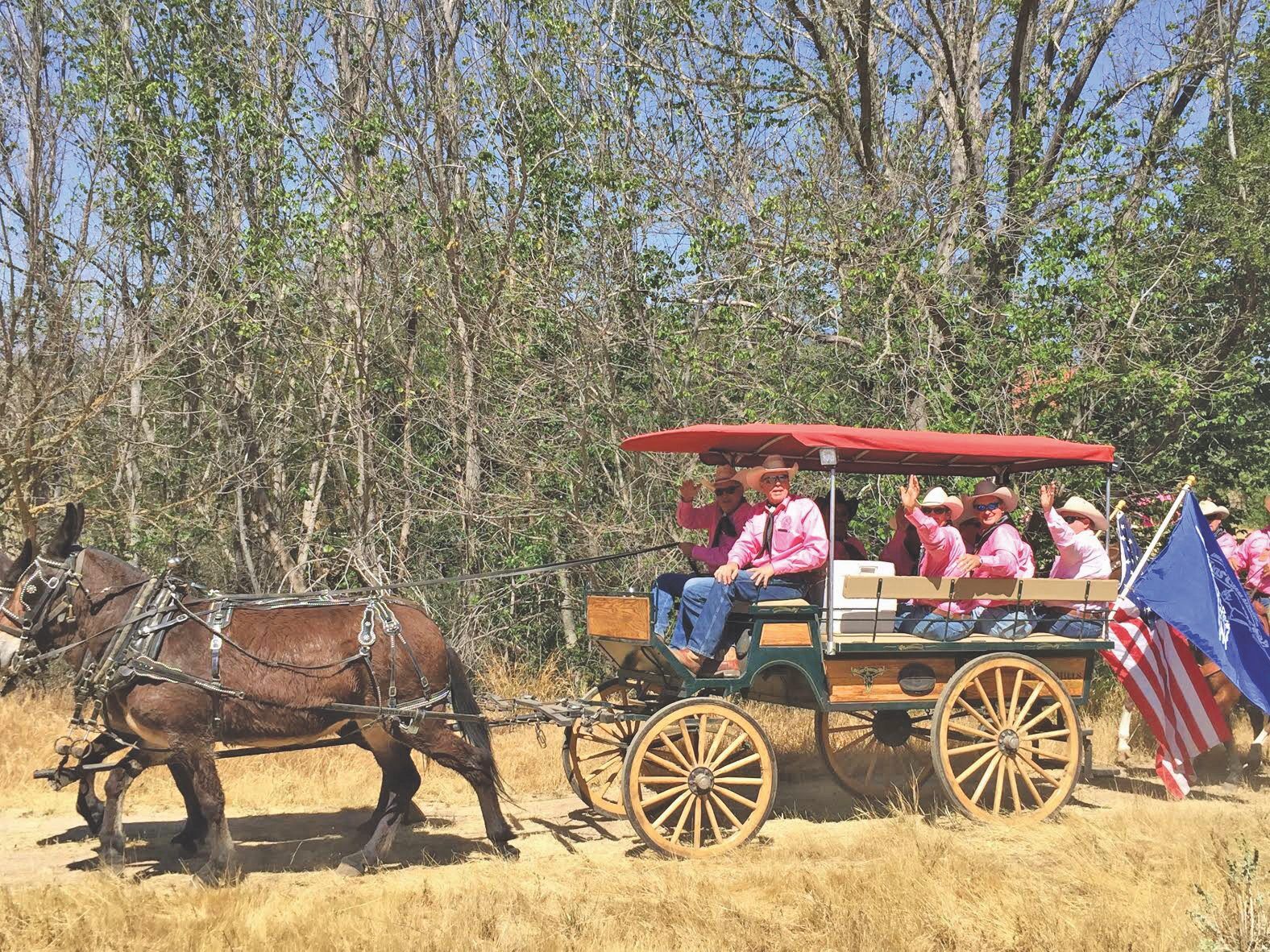 Pink will ride again with Rancheros Visitadores