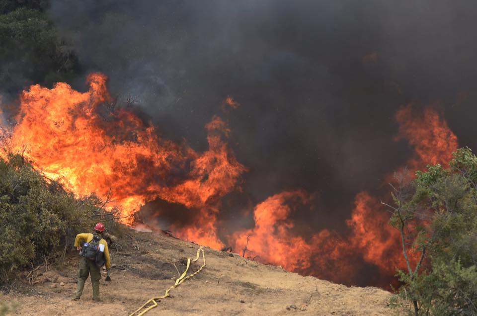 Whittier Fire showing signs of improvement on containment
