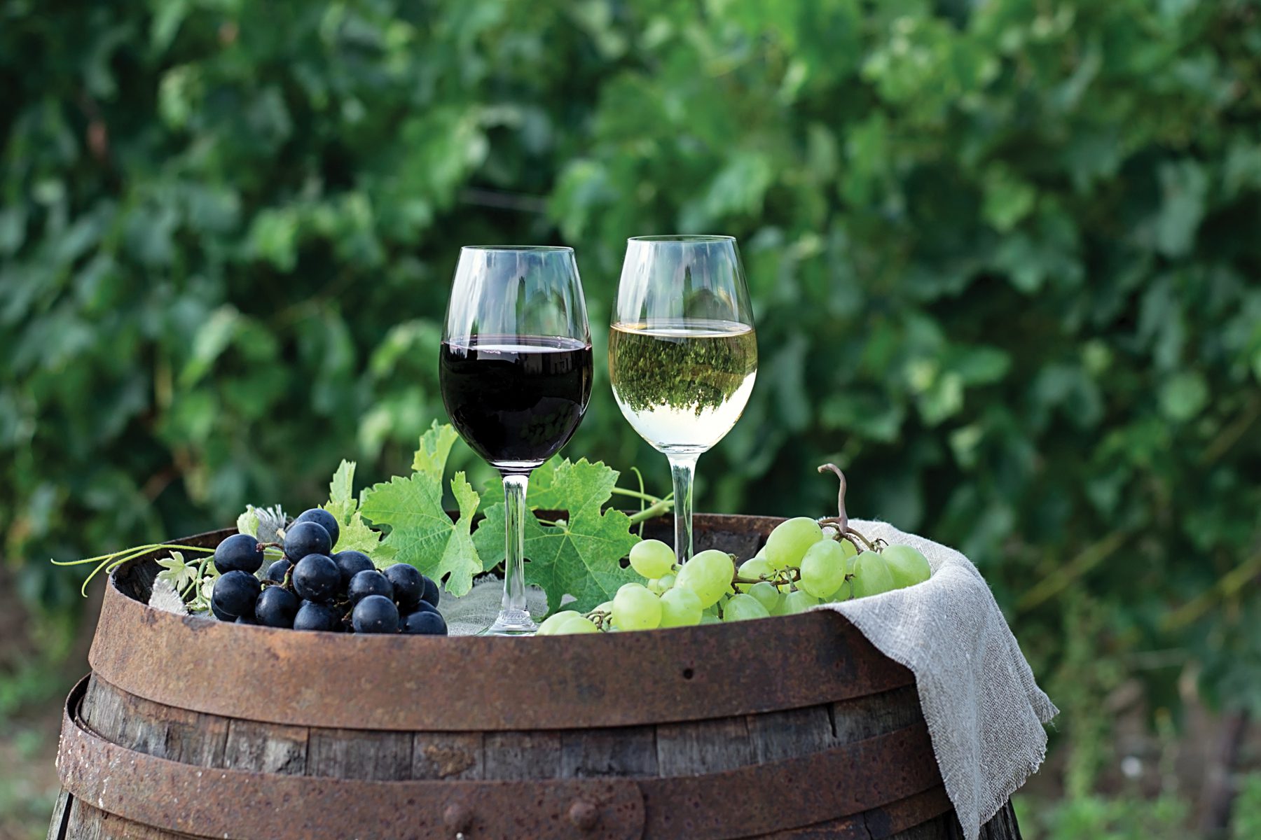 Wine country to be focus of economic forum