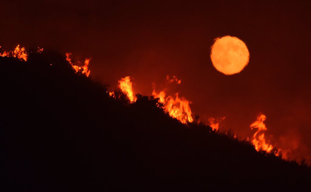Alamo fire grows to more than 6,000 acres overnight