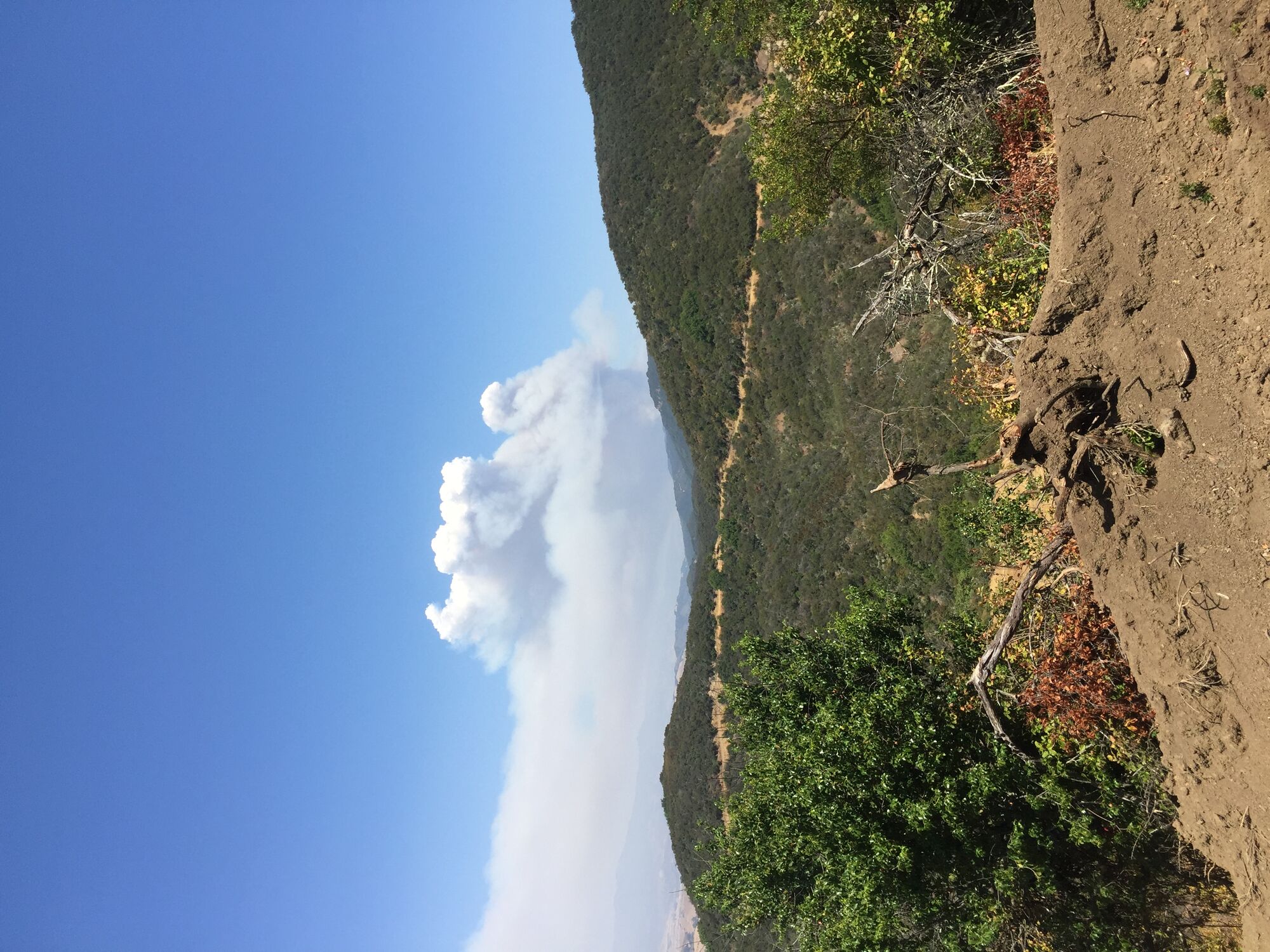 Fire used to be a tool, not a threat