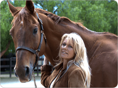 Local sanctuary combines therapy for horses, people