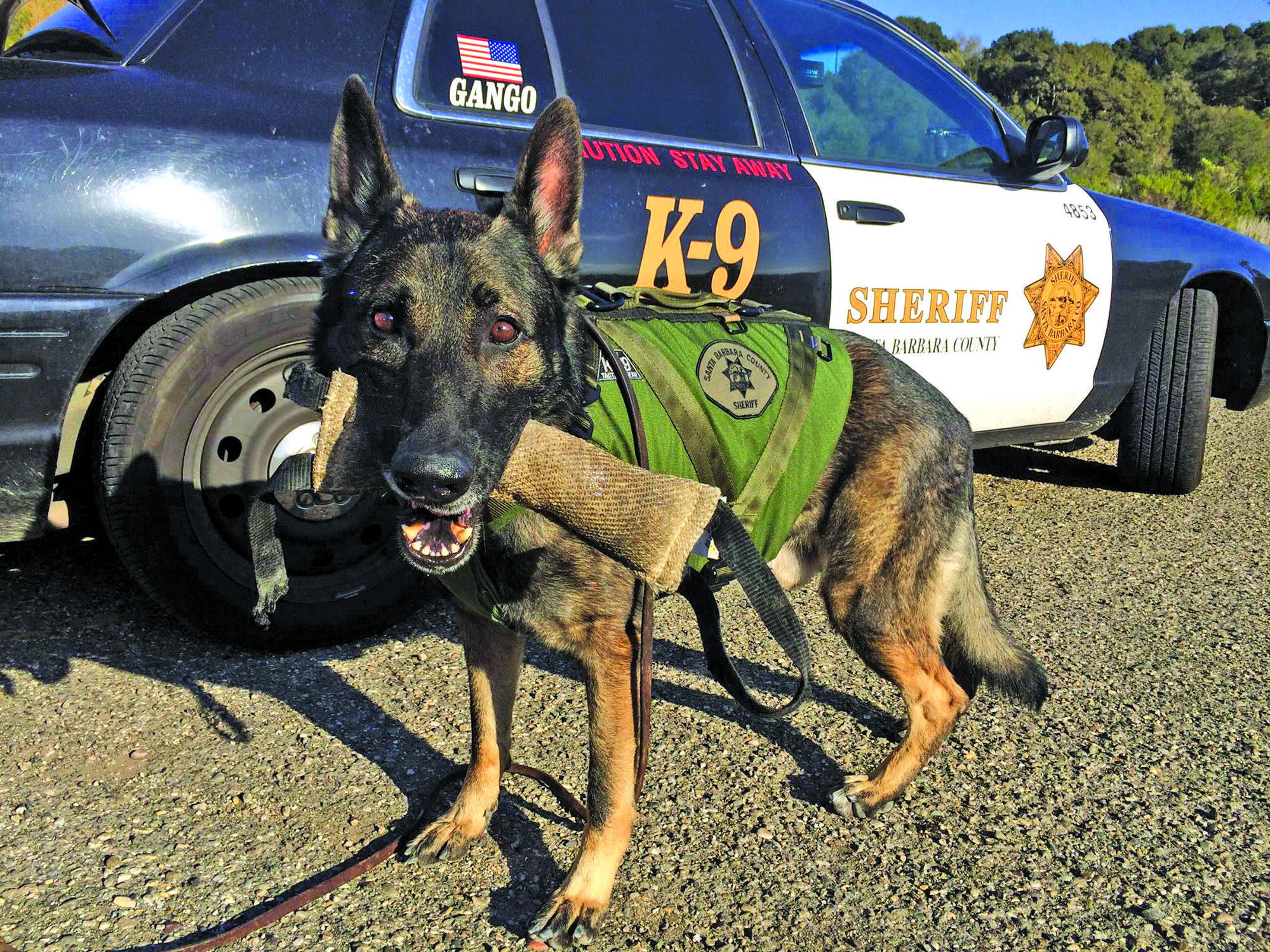 Posse raising funds for 2 new ‘deputy dogs’