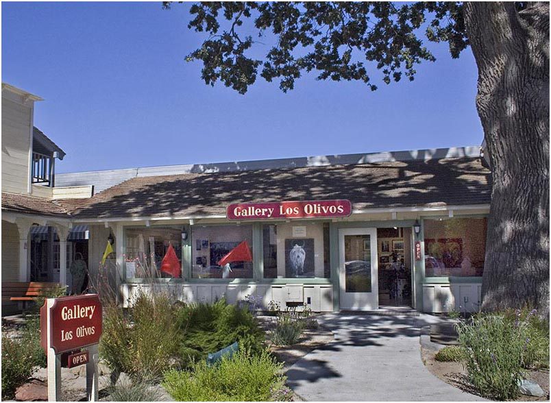 Gallery Los Olivos celebrating 25 years with special show