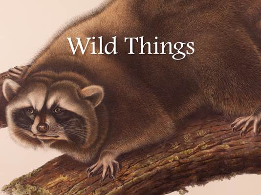 Santa Barbara Museum of Natural History hosts Naturally Wild Weekend