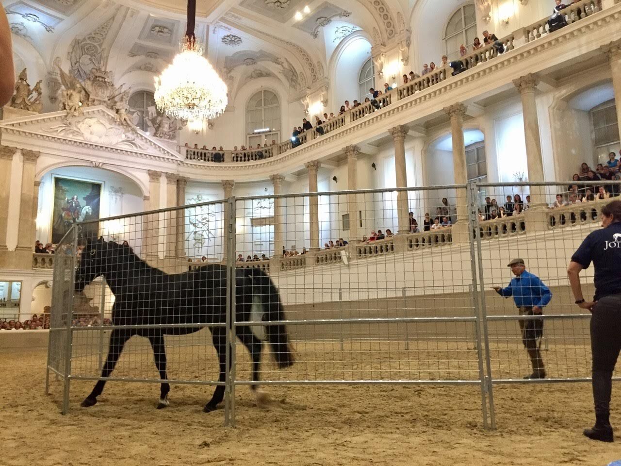 Spanish Riding School invited Monty Roberts to demonstrate Join-Up