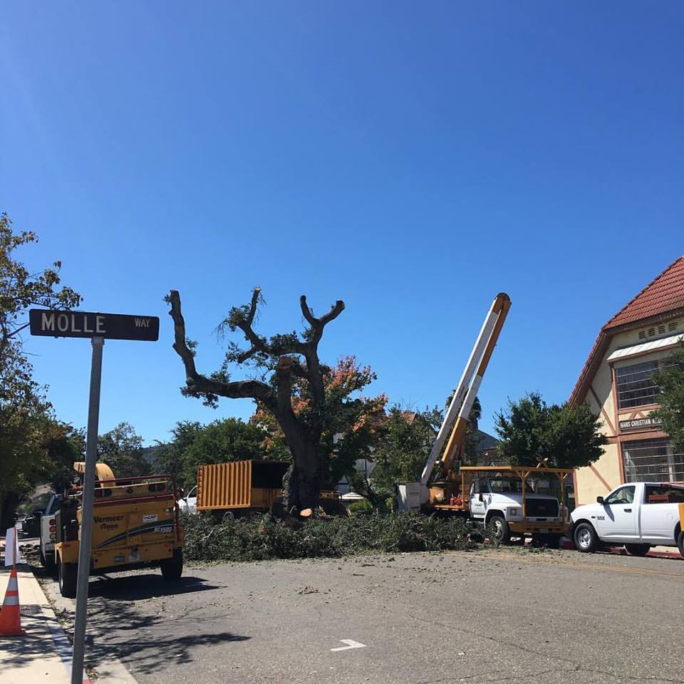 Solvang council to discuss First Street median