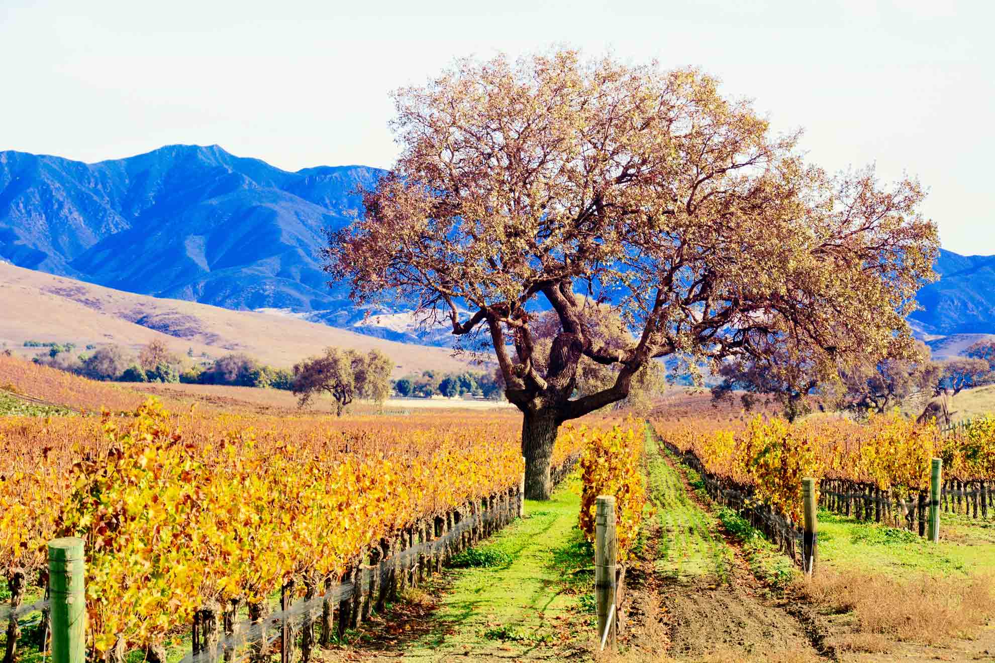 Misnamed October was when time as we know it began