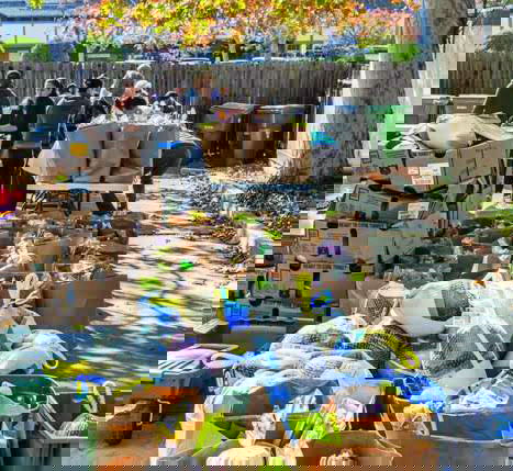 PHP seeking help with Thanksgiving, Christmas food programs