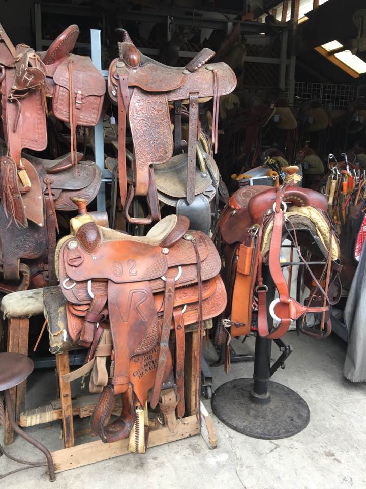 English or Western? Saddle types explained