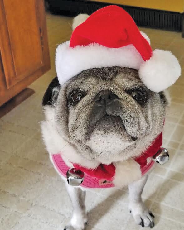 Christmas scenes
