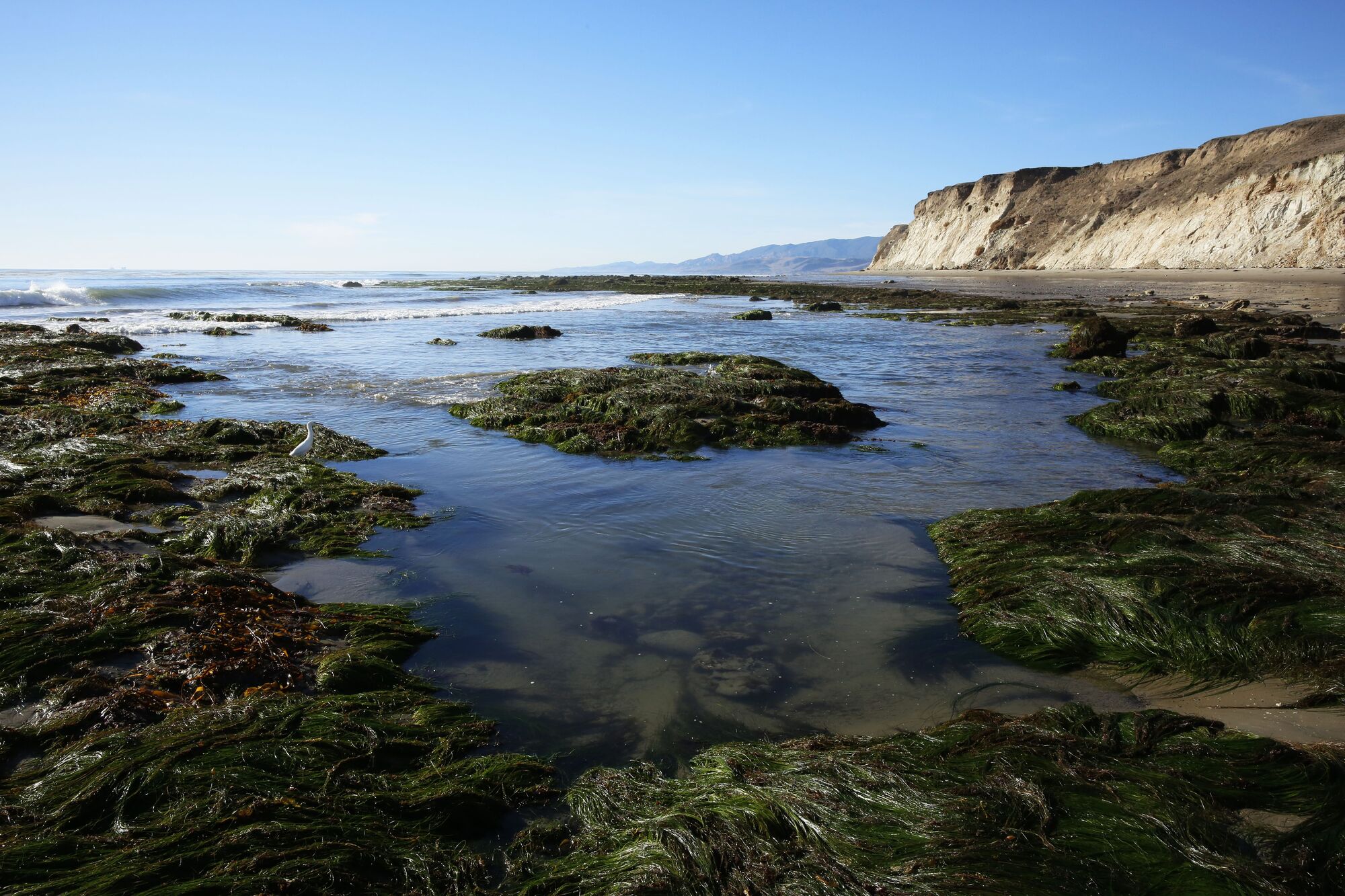 Gaviota film screening at the Wildling Jan. 27