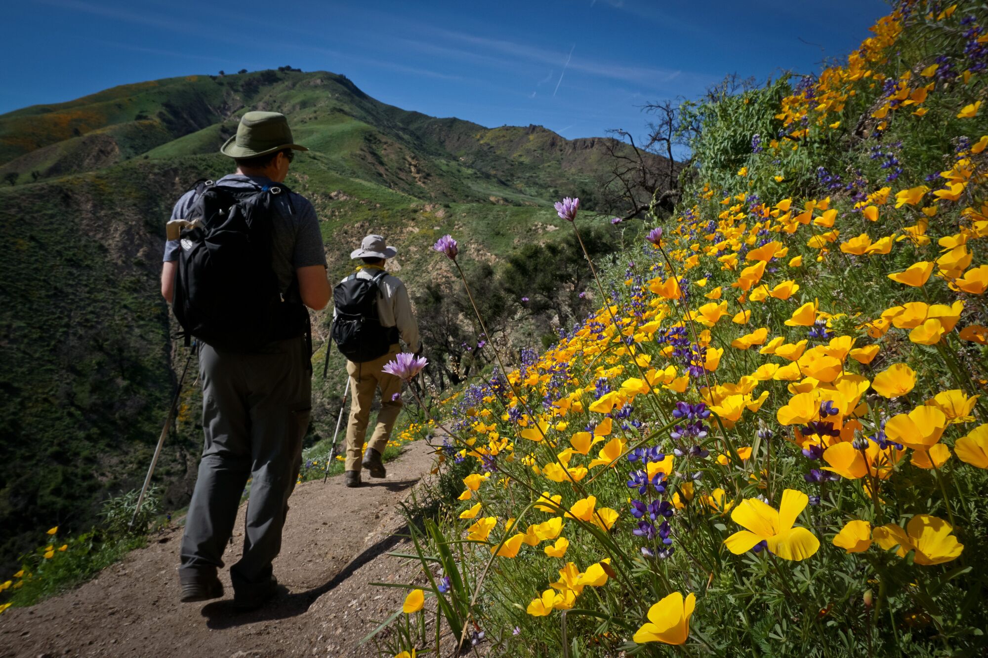 Wilderness Basics Course starts Feb. 7