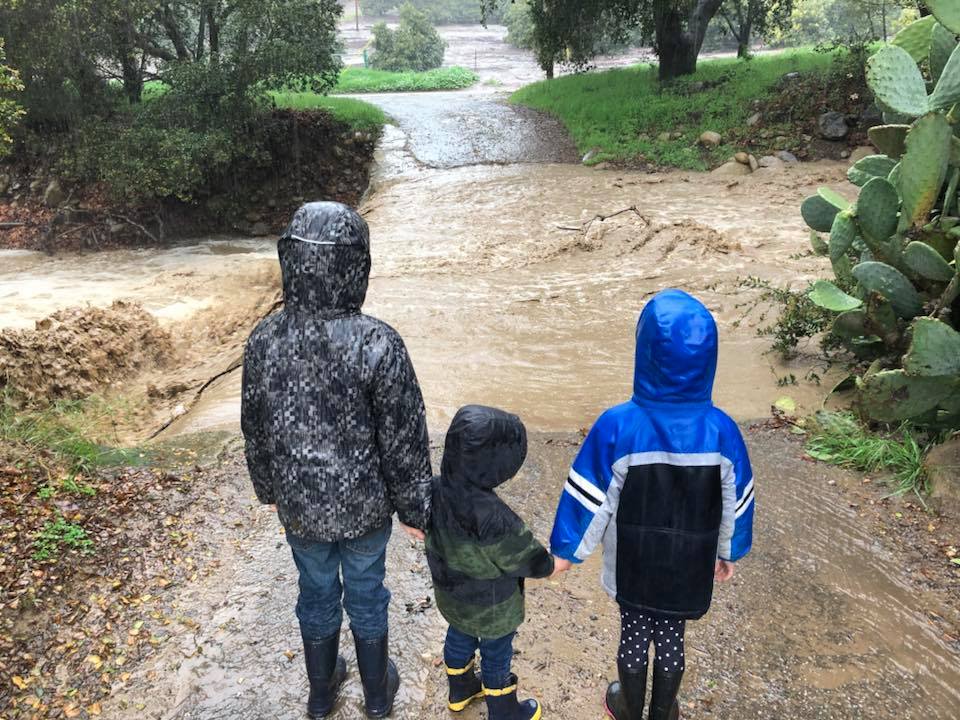 Wet weather makes fun and photos