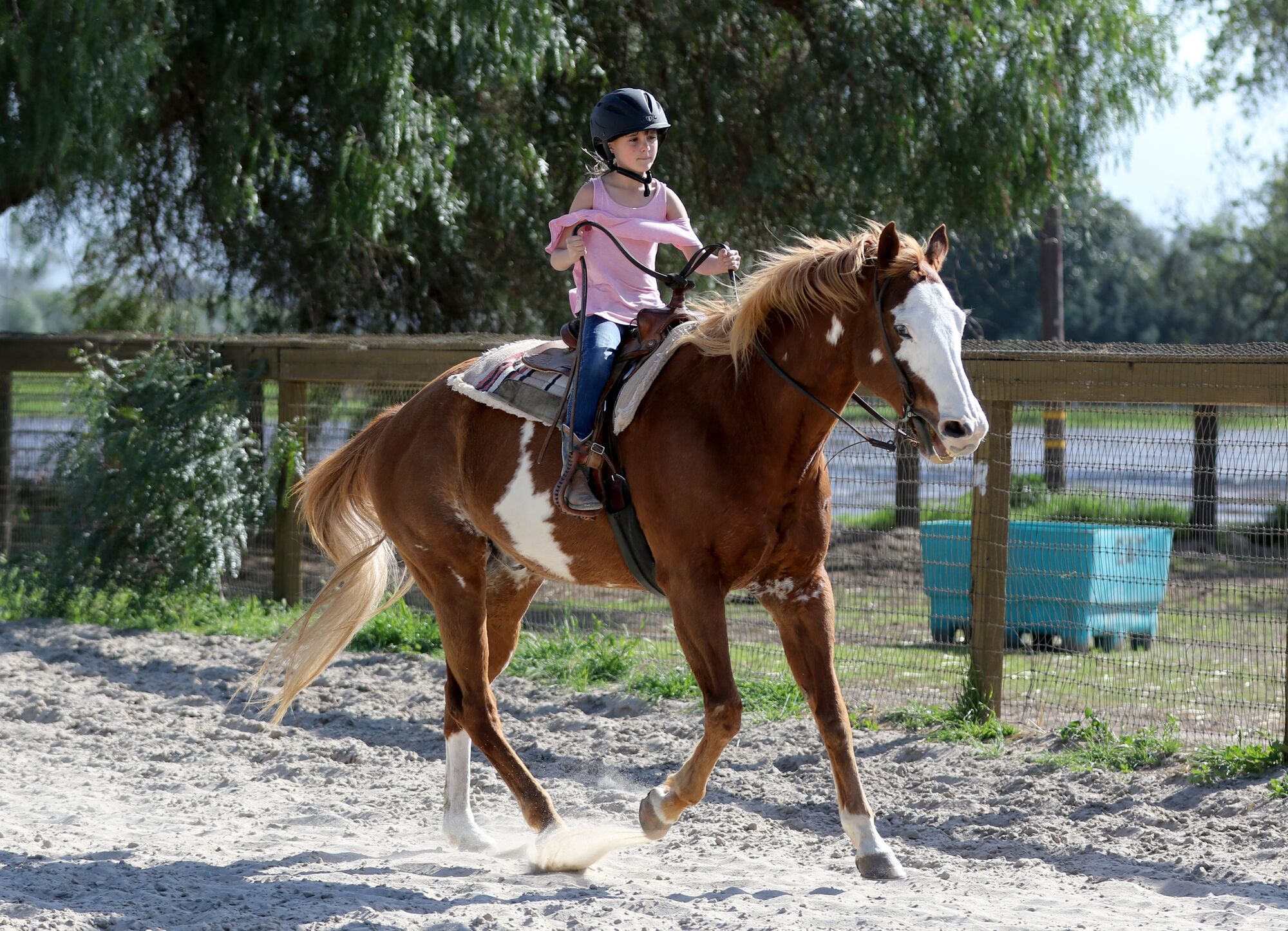 Riding camp teaches life skills, too