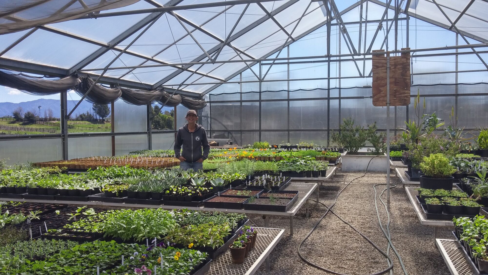 ‘Plant Lady’ provides organic starters for local gardens