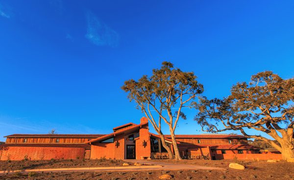 New Brick Barn winery names management team