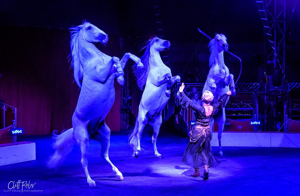 ‘Enchanted Dancing Horses’ to perform benefit in Buellton