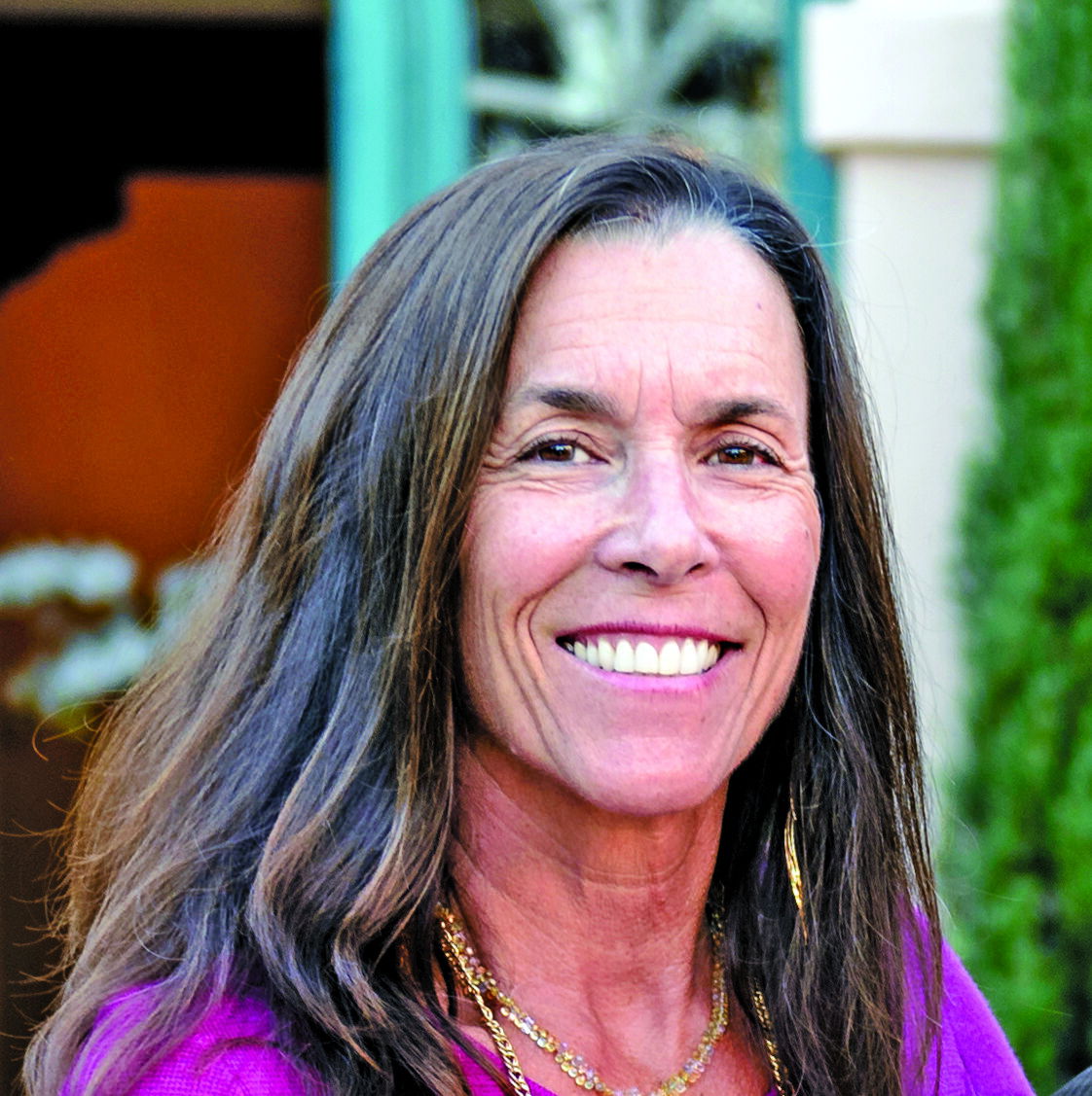 Domestic Violence Solutions names new executive