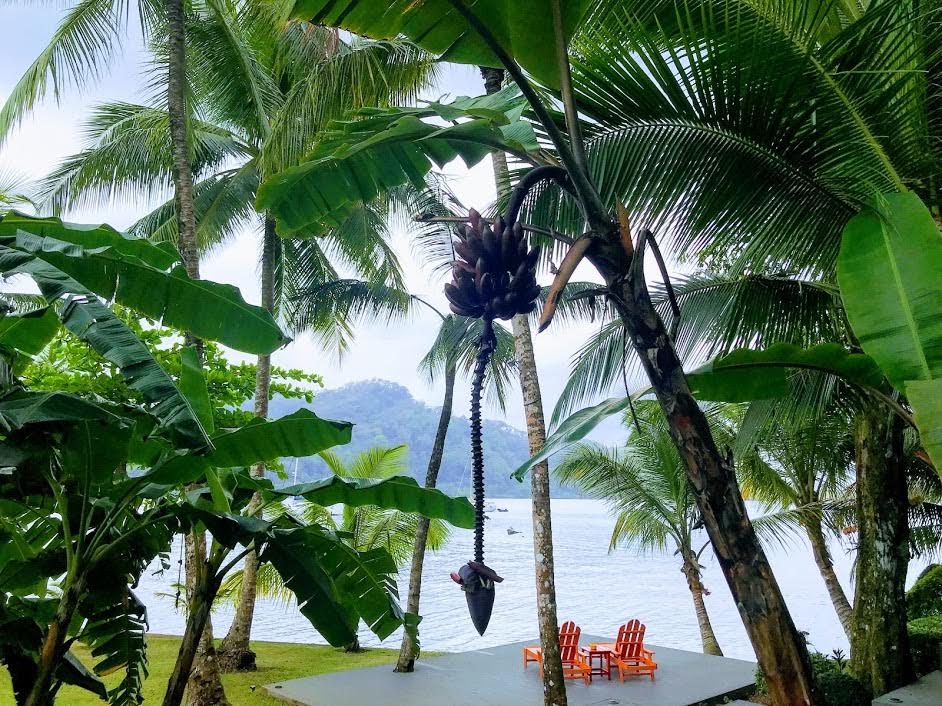Luxury meets the jungle at El Otro Lado in Panama